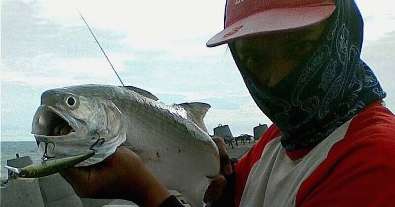 Spot Casting Ikan Baleng: Secrets of Sunset by Sungai Serayu